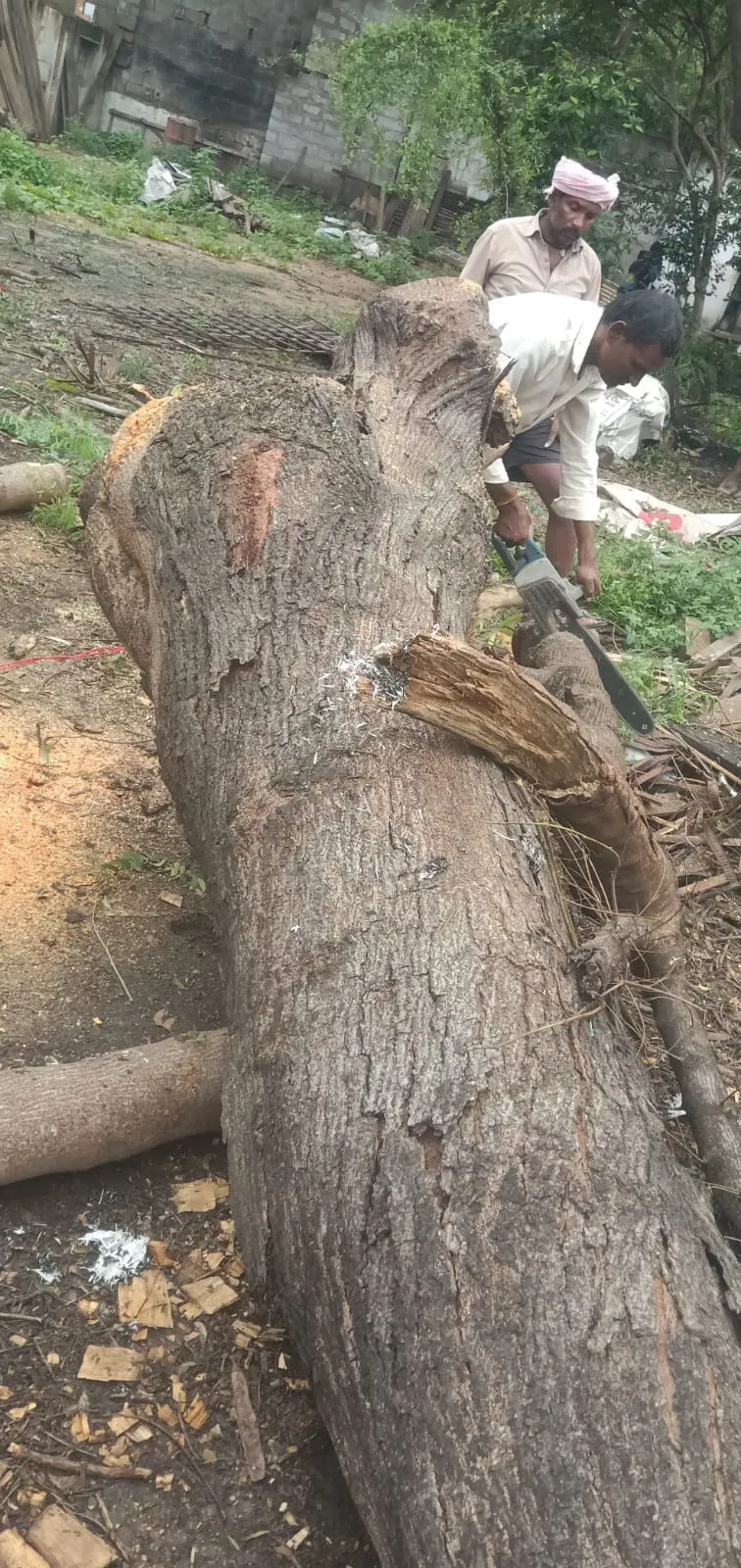 Shankar Tree Cutting Services